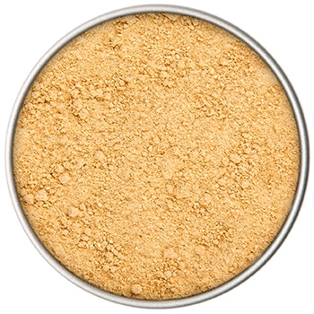 BIO Ingwer | 60 g Dose