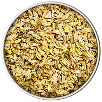 BIO Fenchel | 45g Dose