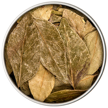 BIO Curryblätter | 10 g VP