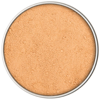 BIO Galgant | 40 g Dose