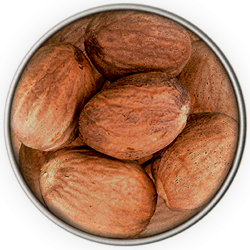 BIO Muskatnuss ganz | 50 g Dose