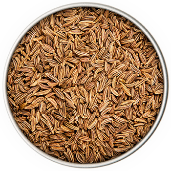 BIO Kümmel | 60g Dose