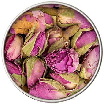 BIO Rosen