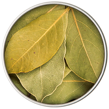 BIO Lorbeer | 10 g NF